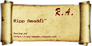 Ripp Amadé névjegykártya